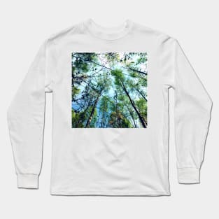 birch forest Long Sleeve T-Shirt